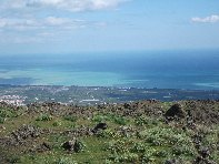 iara Scorciavacca-20110306 069